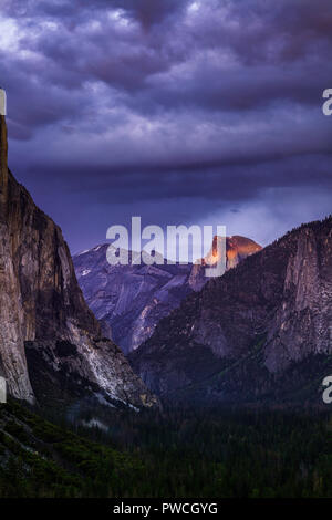 Vue de tunnel dans la région de Yosemite National Park Banque D'Images