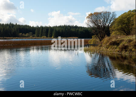 Vue panoramique sur le lac Lough Navar dans Meenameen dans Forêt Co. fermanagh, Irlande du Nord Banque D'Images