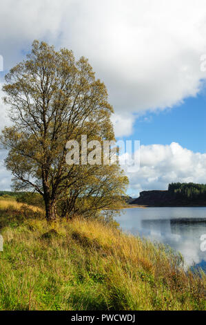 Vue panoramique sur le lac Lough Navar dans Meenameen dans Forêt Co. fermanagh, Irlande du Nord Banque D'Images