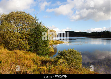 Vue panoramique sur le lac Lough Navar dans Meenameen dans Forêt Co. fermanagh, Irlande du Nord Banque D'Images