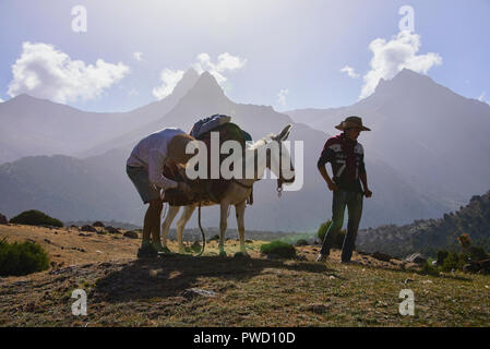 Âne trekking dans les magnifiques montagnes de Fann, au Tadjikistan Banque D'Images