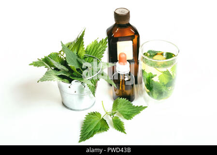 Nettle commun ou piquant, Urtica dioica. Huile d'essence d'ortie en petite bouteille, thé d'ortie infusé en verre, baume, feuilles fraîches sur fond blanc, tr Banque D'Images