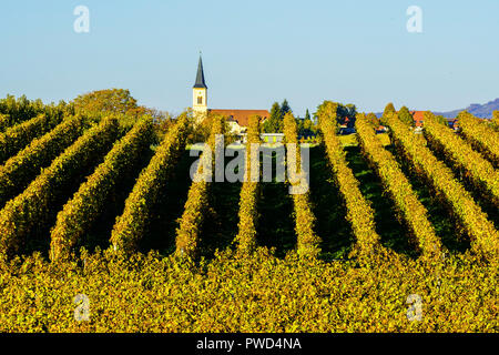 Vignobles pittoresques à l'automne couleurs de Ballrechten-Dottingen, Allemagne. Banque D'Images