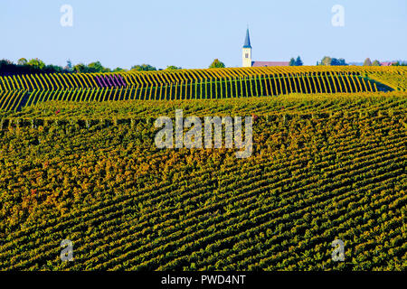 Vignobles pittoresques à l'automne couleurs de Ballrechten-Dottingen, Allemagne. Banque D'Images