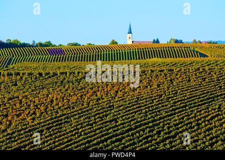 Vignobles pittoresques à l'automne couleurs de Ballrechten-Dottingen, Allemagne. Banque D'Images