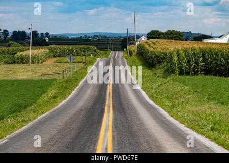 Paradis, PA, USA - 8 août 2015 : un milieu rural, deux voies de chemin de campagne dans les terres agricoles au cours de l'été dans le comté de Lancaster, Pennsylvanie. Banque D'Images