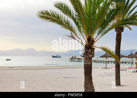 Plage de sable vide à port de Alcudia tôt le matin Banque D'Images