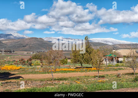 CERES, AFRIQUE DU SUD, le 8 août 2018 : paysage agricole sur la route R46 près de Ceres dans la province occidentale du Cap. Des fleurs, une maison, de l'infrastructure d'électricité Banque D'Images