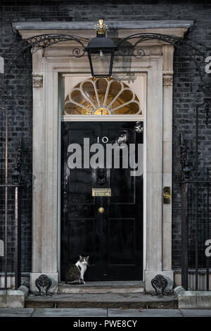 Londres, Royaume-Uni. 16 octobre, 2018. Larry le 10 Downing Street cat et Chef du Bureau du Cabinet à Mouser attend de le laisser entrer. Crédit : Guy Josse/Alamy Live News Banque D'Images