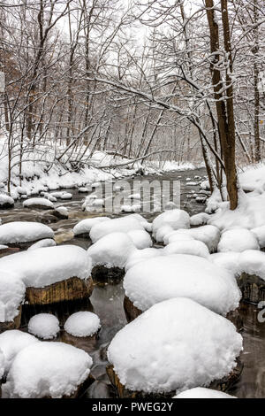 Une tempête de neige de printemps le long des rochers couvre neuf Mile Creek. Banque D'Images