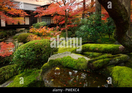 Licence et gravures sur MaximImages.com - Tenju-an salle principale du Temple japonais dans le paysage d'automne d'un jardin du temple avec une ancienne eau de pierre de mousse Banque D'Images