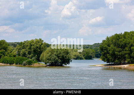 Paysage près de la rivière sur le Danube Calarasi, Roumanie, d'une plus grande de la Valachie, l'estuaire du Danube, paysage, abandonné des méandres, plaine alluviale, terre, ciel nuageux Banque D'Images