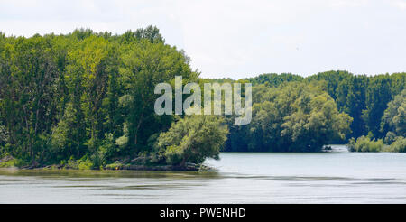 Paysage du Danube entre Campina et Oltina, Roumanie, Constanta County, Dobroudja, paysage, paysage de la rivière du Danube, bas-fonds, abandonnés meander Banque D'Images