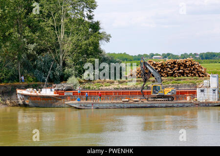 L'agriculture, des forêts, les forestiers travaillant sur les clairières à les rives du Danube, pieux journal journaux, d'un cargo, d'un fossoyeur, Danube paysage entre Cernavoda et Oltina, Roumanie, Constanta County, Dobroudja Banque D'Images