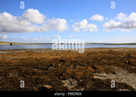 Paysage près de port de Scapa Flow, Orcades, Ecosse, Highlands, Royaume-Uni Banque D'Images