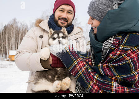 Taille portrait of happy couple moderne jouant avec mignon chiot Husky à l'extérieur en hiver, l'accent sur Asian man smiling at camera Banque D'Images