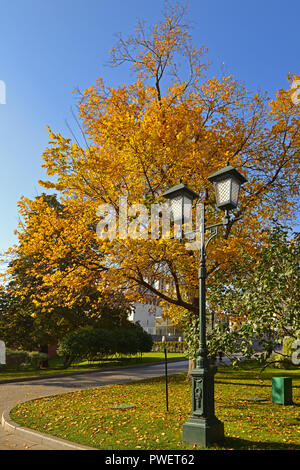 Automne doré dans les jardins d'Alexandre. Feuillage jaune et lanterne vintage. Moscou, Russie Banque D'Images