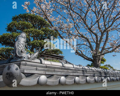 La carpe koï, bonne chance, kawara carreau décoratif figure, à l'angle de garden wall, hanami sakura cherry blossom, Kochi, Japon Banque D'Images