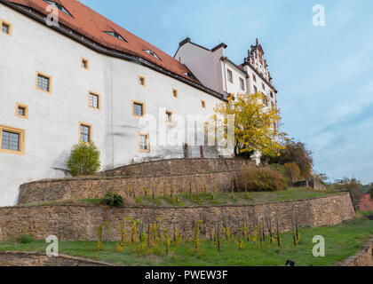 Itinéraire de fuite par les douves de la POE Pat Reid au château de Colditz ou Schloss Colditz dans Colditz, Allemagne. Un château Renaissance. Banque D'Images