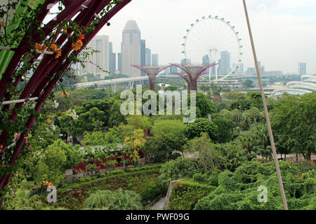 L'Supertree Grove dans les jardins de la baie de Singapour. Banque D'Images