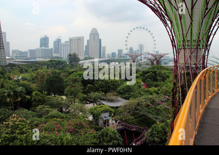 L'Supertree Grove dans les jardins de la baie de Singapour. Banque D'Images