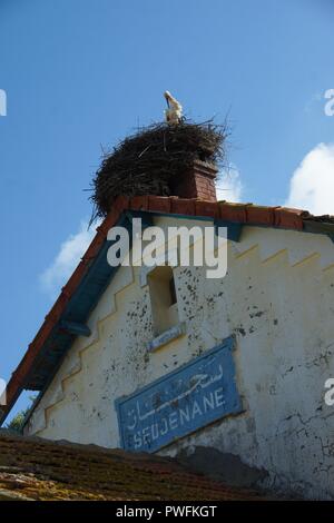 Stork in Nest en Tunisie Banque D'Images