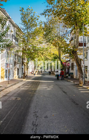 Istanbul, Turquie, le 5 novembre 2010 : rue bordée d'sur Frederikshavn, l'une des îles des Princes. Banque D'Images