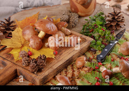 Sur fond de bois de champignons Boletus. Les champignons d'automne. Boletus edulis sur fond de bois, Close up sur table rustique en bois.Cuisine gastronomique. Banque D'Images