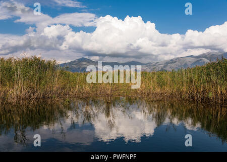 Vue de la rive de l'Mikri Prespa (petites) Lake dans le nord de la Grèce Banque D'Images