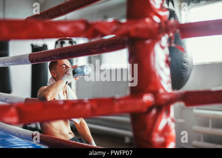 Male boxer l'eau potable après l'exercice d'entraînement de combat ou en ring de boxe Banque D'Images