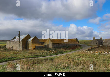 Vieilles granges en pierre avec des toits couverts de lichen jaune, sous un ciel bleu avec des nuages blancs qui ondulent, herbe verte, sur l'île de Rousay, Orkney, Scotland Banque D'Images