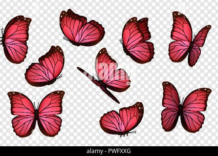 Vecteur de papillon. Rose isolé de papillons. Des insectes avec coloration lumineuse sur fond transparent Illustration de Vecteur