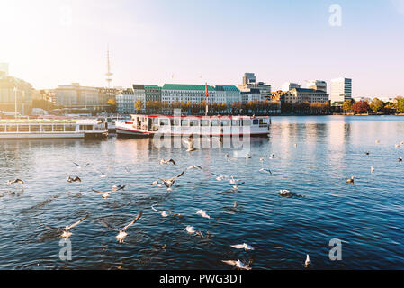 Les mouettes et de l'artisanat de passagers sur le lac Alster à Hambourg Banque D'Images