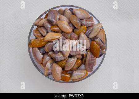 Les petites moules multicolores sur la plaque de verre, vue du dessus, isolé Banque D'Images