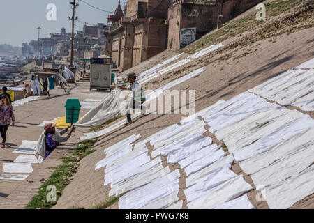 Jour de lessive sur le Gange, Varanasi, Uttar Pradesh, Inde. Les vêtements et le linge sont lavés dans la rivière et se propager à sécher sur la banque du fleuve Banque D'Images