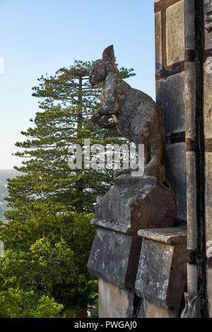 L'avis de statue de pierre de kangourou sur le mur de la Quinta da Regaleira palace vu de la pièce du château. Sintra. Portugal Banque D'Images