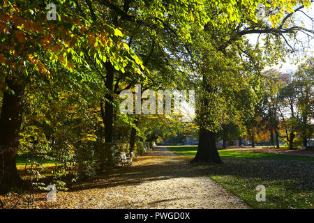 Pologne : l'automne coloré à Royal de Lazienki Park Banque D'Images