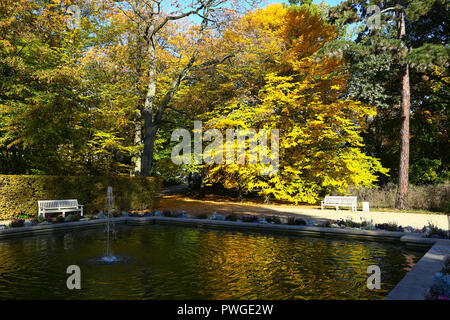 Pologne : l'automne coloré à Royal de Lazienki Park Banque D'Images