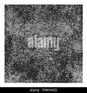 Fond à rayures carré Illustration de Vecteur