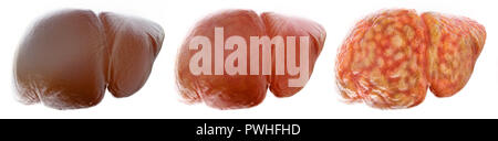 Étapes d'un réaliste du foie gras - 3D Rendering Banque D'Images