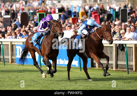 Le Roi (à droite) monté par Pierre-Charles Boudot (à droite) remporte le Godolphin Masar enjeux à venir de l'automne de l'ouest de l'Australie monté par W.M. Lordan Banque D'Images