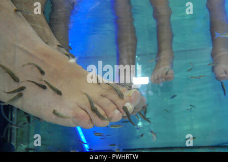 Fish pédicure. Traitement La thérapie Fish Spa à Eilat, Israël Banque D'Images