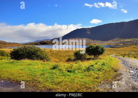 Bun Loyne, Highlands, Ecosse, Royaume-Uni. La beauté des Highlands écossais est manifeste dans cette scène au début de l'automne près de Loch Cluaniee. Banque D'Images