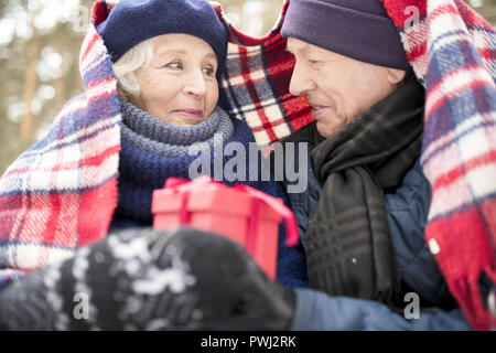 Senior Couple Banque D'Images