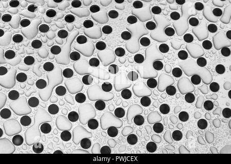 Des gouttes d'eau après la pluie sur la tôle perforée en acier inoxydable. Métaphore de la trypphobie. Métal avec gouttes d'eau dessus. L'eau comme matière première. Banque D'Images