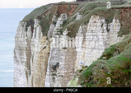 Un matin froid et venteux sur les falaises en Normandie, France, détails de célèbres rochers et falaises Banque D'Images