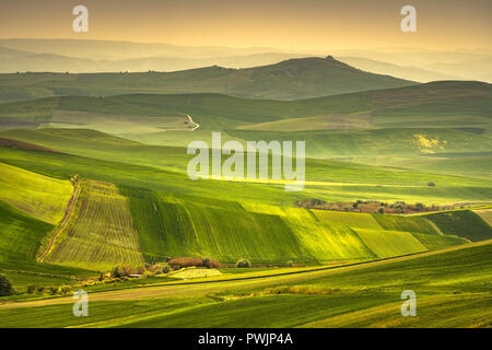 Pouilles Vue sur campagne, collines et champs verts paysage. Poggiorsini, Bari, Italie Europe Banque D'Images