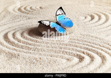 Sable, pierre papillon bleu et un spa dans le jardin zen. Spa concept Banque D'Images