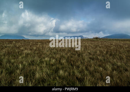 Le Rhinog Llethr les montagnes et Y de Llangefni, Gwynedd, au nord du Pays de Galles au Royaume-Uni. Banque D'Images