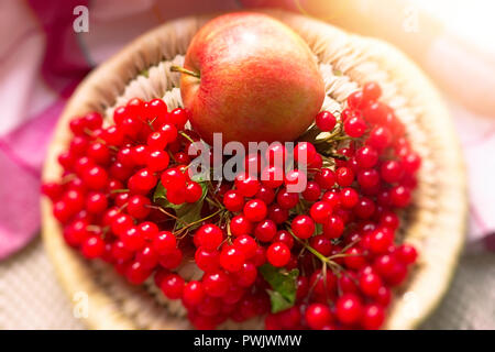 Pomme rouge mûr et un brin de viburnum aux fruits rouges sur une plaque ronde wicker Banque D'Images